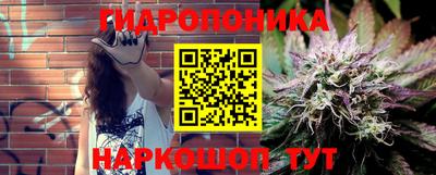 mdpv Кимры