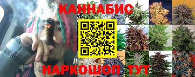 прущие крисы Кинель